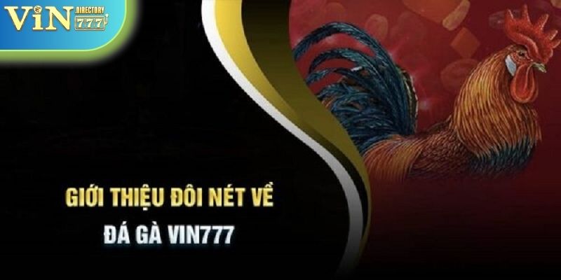 Đá gà Vin777 hỗ trợ thành viên kiếm tiền mỏi tay