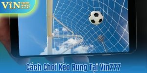 Cách chơi kèo rung tại VIn777